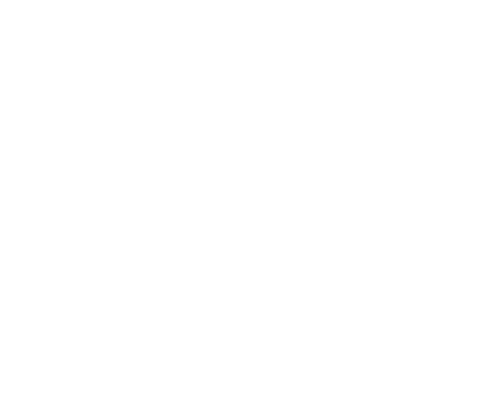 todoquincho